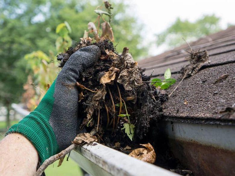 gutter-cleaning